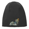 Knit Beanie Thumbnail