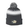 Stripe Pom Pom Beanie Thumbnail
