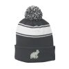 Stripe Pom Pom Beanie Thumbnail