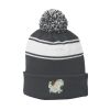 Stripe Pom Pom Beanie Thumbnail