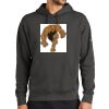 Club Fleece Sleeve Swoosh Pullover Hoodie Thumbnail
