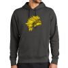 Club Fleece Sleeve Swoosh Pullover Hoodie Thumbnail