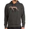Club Fleece Sleeve Swoosh Pullover Hoodie Thumbnail