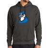 Club Fleece Sleeve Swoosh Pullover Hoodie Thumbnail