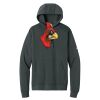 Club Fleece Sleeve Swoosh Pullover Hoodie Thumbnail
