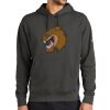 Club Fleece Sleeve Swoosh Pullover Hoodie Thumbnail