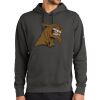 Club Fleece Sleeve Swoosh Pullover Hoodie Thumbnail