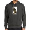 Club Fleece Sleeve Swoosh Pullover Hoodie Thumbnail