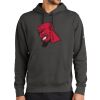 Club Fleece Sleeve Swoosh Pullover Hoodie Thumbnail