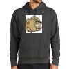 Club Fleece Sleeve Swoosh Pullover Hoodie Thumbnail
