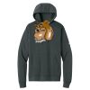 Club Fleece Sleeve Swoosh Pullover Hoodie Thumbnail