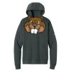 Club Fleece Sleeve Swoosh Pullover Hoodie Thumbnail