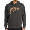 Club Fleece Sleeve Swoosh Pullover Hoodie Thumbnail
