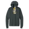 Club Fleece Sleeve Swoosh Pullover Hoodie Thumbnail