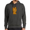 Club Fleece Sleeve Swoosh Pullover Hoodie Thumbnail
