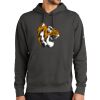Club Fleece Sleeve Swoosh Pullover Hoodie Thumbnail