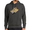 Club Fleece Sleeve Swoosh Pullover Hoodie Thumbnail