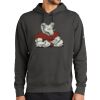 Club Fleece Sleeve Swoosh Pullover Hoodie Thumbnail