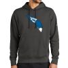 Club Fleece Sleeve Swoosh Pullover Hoodie Thumbnail