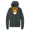 Club Fleece Sleeve Swoosh Pullover Hoodie Thumbnail