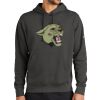 Club Fleece Sleeve Swoosh Pullover Hoodie Thumbnail