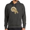 Club Fleece Sleeve Swoosh Pullover Hoodie Thumbnail
