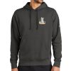 Club Fleece Sleeve Swoosh Pullover Hoodie Thumbnail