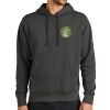 Club Fleece Sleeve Swoosh Pullover Hoodie Thumbnail