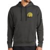 Club Fleece Sleeve Swoosh Pullover Hoodie Thumbnail