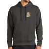 Club Fleece Sleeve Swoosh Pullover Hoodie Thumbnail