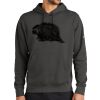 Club Fleece Sleeve Swoosh Pullover Hoodie Thumbnail