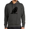 Club Fleece Sleeve Swoosh Pullover Hoodie Thumbnail
