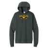 Club Fleece Sleeve Swoosh Pullover Hoodie Thumbnail