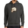 Club Fleece Sleeve Swoosh Pullover Hoodie Thumbnail