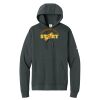Club Fleece Sleeve Swoosh Pullover Hoodie Thumbnail