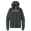 Club Fleece Sleeve Swoosh Pullover Hoodie Thumbnail