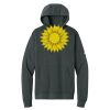 Club Fleece Sleeve Swoosh Pullover Hoodie Thumbnail